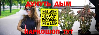 Альфа ПВП Кингисепп