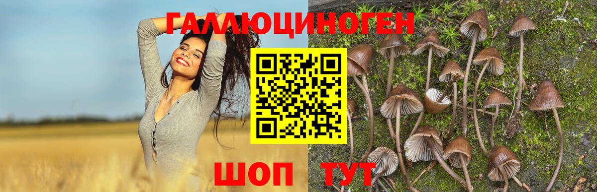 Краснознаменск  Галлюциногенные грибы мицелий  Вход с VPN 